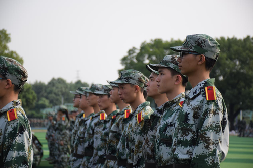 图片10