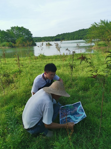 -36c88bdb4002a192 -36c88bdb4002a192