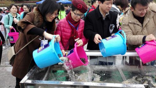 QQ图片20170405100752