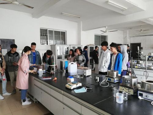 QQ图片20181201123120 QQ图片20181201123120