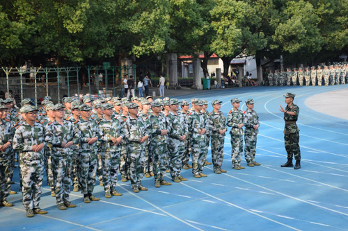 图片9
