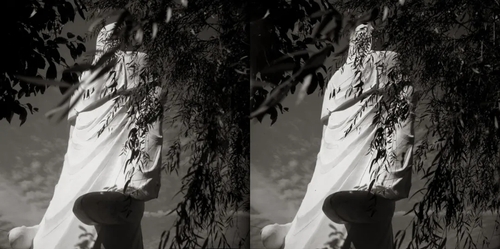 故国1.webp 故国1.webp