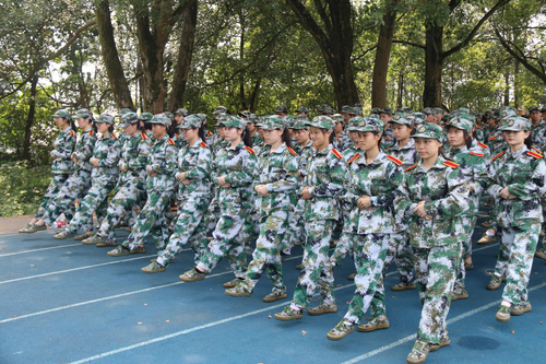 图片8 图片8