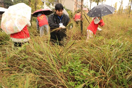 QQ图片20231113163157 QQ图片20231113163157